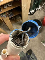 IMG_2421.JPEG