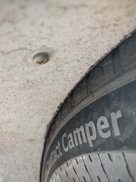 IMG_20230319_131843021.jpg