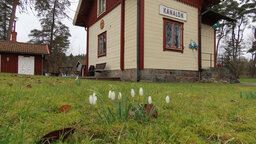 IMG_6774.jpg