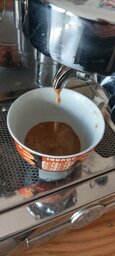 IMG_20230318_094228.jpg