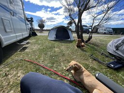 IMG_7456.jpeg