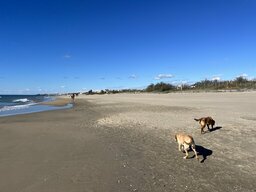 IMG_7510.jpeg
