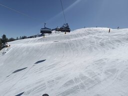 IMG_20230403_110604.jpg
