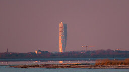 IMG_7392.jpg