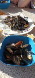 IMG_20230407_180521.jpg