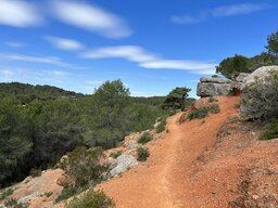 IMG_7678.jpeg