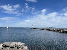 IMG_7726.jpeg