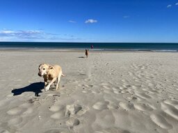 IMG_7472.jpeg