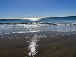 IMG_7509.jpeg