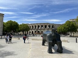 IMG_7994.jpeg