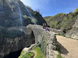 IMG_8133.jpeg
