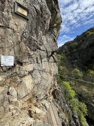 IMG_8179.jpeg