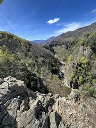 IMG_8220.jpeg
