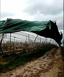 sturm.jpg