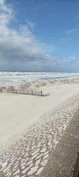 IMG_20230412_160540.jpg