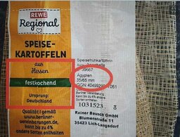 hesse.jpg