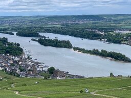IMG_5044.JPG