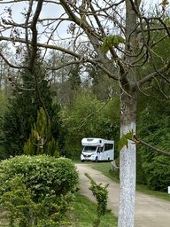IMG_5976.jpeg