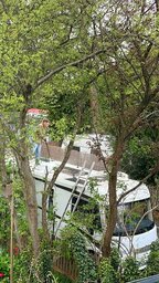 IMG_20230507_152356.jpg