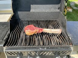 IMG_4367.jpeg
