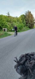 In bici alle 22.00.jpg