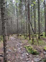 Normaler Wanderweg, beim Bach und den Felsen hatte ich anderes zu tun
