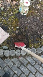 IMG-20230508-WA0024.jpeg