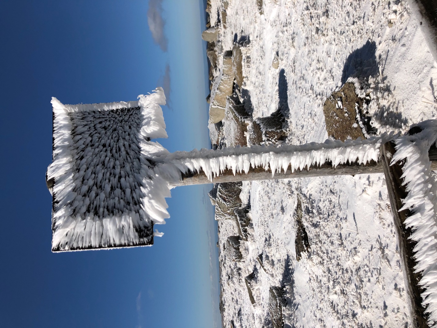 EF2F2912-8349-4BCA-95DA-0E7EC2391811.jpeg