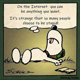 753f387b8a3eb13ffbffee847d1a8a86b79c6e3a_2_1000x1000.jpeg