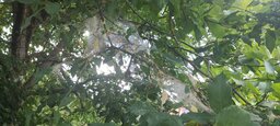 IMG_20230617_123906.jpg
