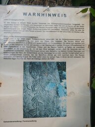 20230618_201340.jpg