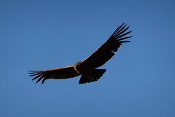 DSC02908.JPG