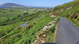 IMG_0354.jpeg