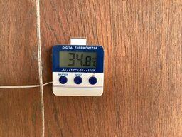 IMG_2789.jpeg