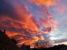 IMG_20191115_070937.jpg