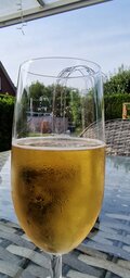 20230709_171919.jpg