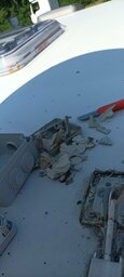 IMG_20230711_114634.jpg