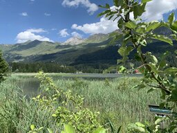 IMG_3858.jpeg
