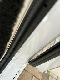 IMG_4736.jpeg