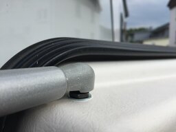 IMG_2763.jpeg
