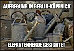 IMG_0200.jpeg