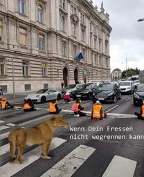 IMG_0819.jpeg
