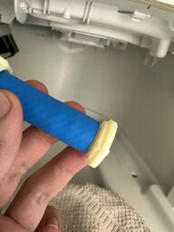 IMG_6301.jpeg