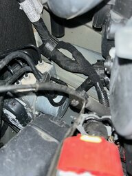 IMG_4454.jpg
