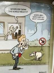 Hund.jpg