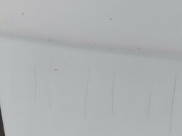 IMG_0220.jpeg