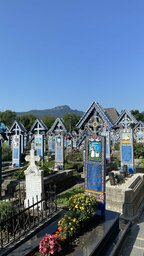 IMG_0380.jpeg