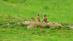IMG_2189.jpg