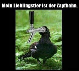 Zapf.jpg