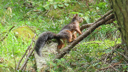 IMG_2640.jpg